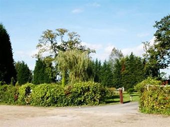 Hostal Little Foxes Hotel