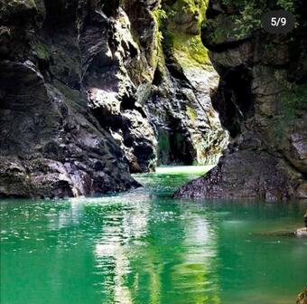 Apartamento Mutat�