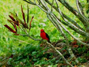 Casa Quinta La Enrramada
