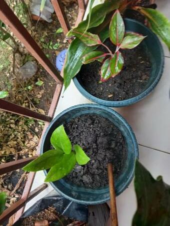 Bed & Breakfast Red Home Place