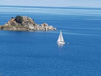 Awesome View Cottage