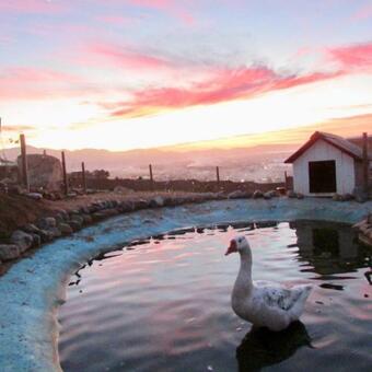 Agroturismo Little Cabin, Huge Outdoors - Access Not For Low Cars