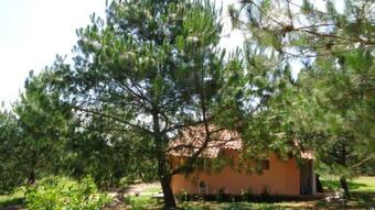 Lodge Caba�as Paseo Del Llano