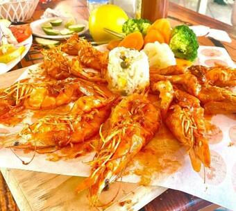 Casa De Descanso Las Camelinas P/25 Personas