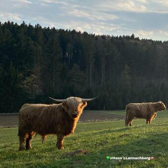 Apartamento Haus Lannachberg