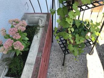 Apartamento Charmante Stadtwohnung Im Zentrum Von Leibnitz