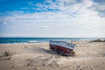 ??????? ???????? - ??????