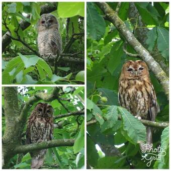 Apartamento B&B Lekkerkerk