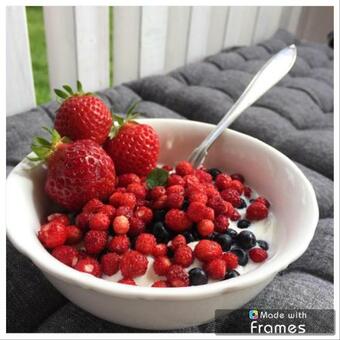 Bed & Breakfast Lavendeltorpet