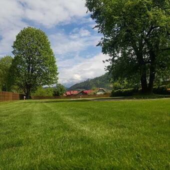 Hostal Chalet Mugure De Brad