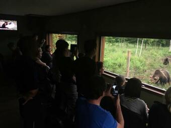 Hostal Vila Transylvania