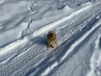 Villa Pensiunea Cassandra