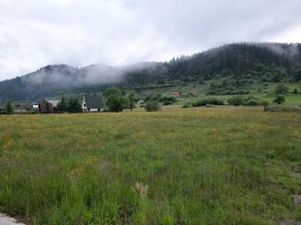 Maria Lunca Bradului