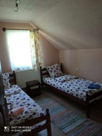 Hostal Tank� Timea Vend�gh�za