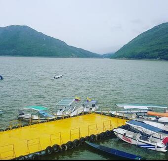 Floresta Isla Del Sol