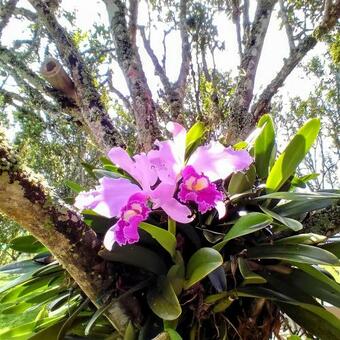 La Serena, Alojamiento Rural