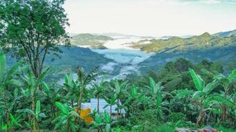 Hotel Bajo El Cielo Glamping San Francisco