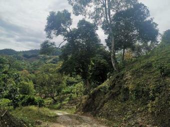 Naturaleza Y Paz, Casa Quinta De Descanso