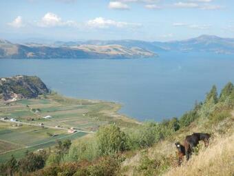 Posada Hospedaje Vivienda Tur�stica La Puerta