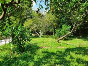 Kh?i Ho�n Villas - H�a B�nh