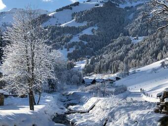 Apartamento Appartement Hochmais