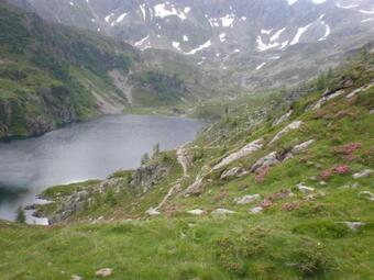 Apartamento Fingerlos