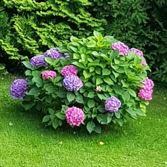 Apartamento Feriendomizil Wetzelberger