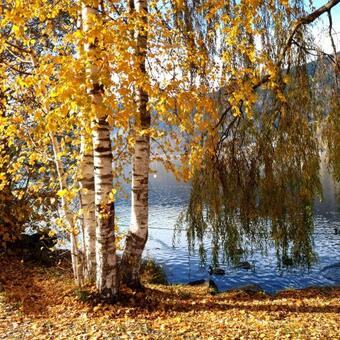 Apartamento Golf & Ski Appartements Mittersill Trausmuth Monika