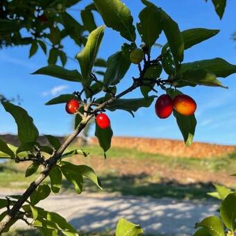 Apartamento H�dahof Niemtal