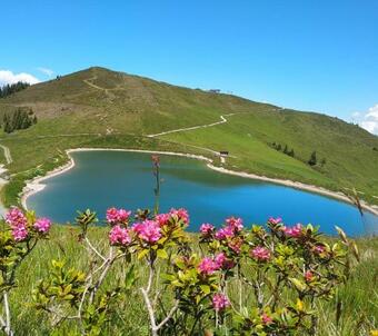 Apartamento Sonnenappartements Madlstatthof