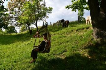 Leopold Der Lamah�tewagen