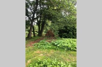 Cosy Ivy-covered Cottage Near Amsterdam