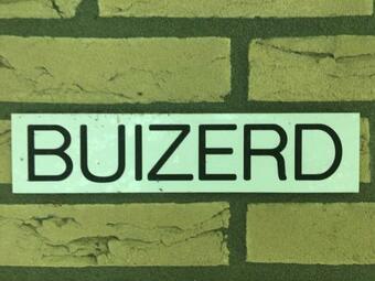 Beautiful House In The Forest