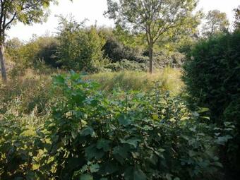 Oude-tonge Holiday House