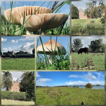 Hostal Bommelerhoeve B&B & Vakantiewoning