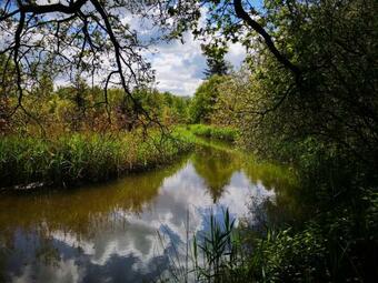 Boutique Hotel Lytel Blue