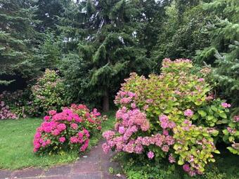 That 70s Caravan! Your Vacation Home In The Wild