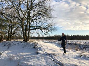 Bed & Breakfast Ter Borg