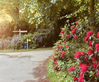 Art+bed And Breakfast