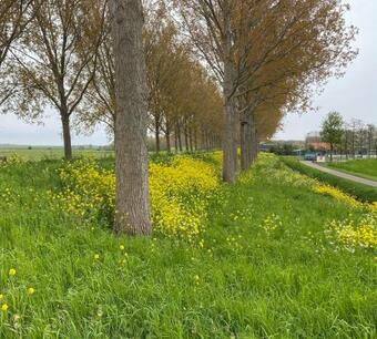 Apartamento Benb Voorneputten