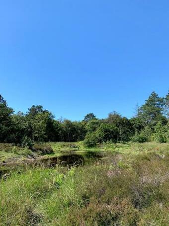 Apartamento Schoorlse Suites