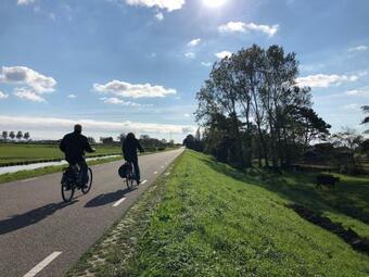 Chalet Studio Noor- Campanula - Sint Maartenszee