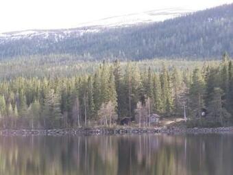 Fj�llstugan Bj�rnvallen Kl�vsj�mountains