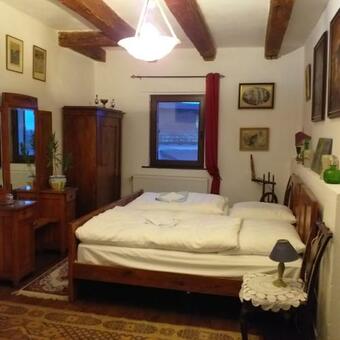 Hostal Pensiunea Monica-amadeus