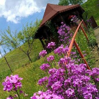 Pensiunea Agroturistica Stefan Viorica