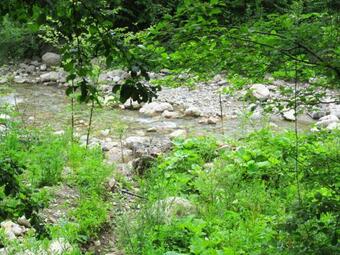 Hostal Cabana Doi Brazi