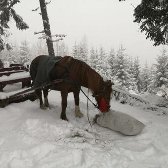 Cabana 4 Brazi Statiunea Muntele Baisorii