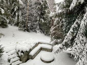 Mountain Chalet - Cabana La Muntele Baisorii