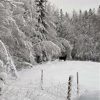 Vargheden Bed & Breakfast