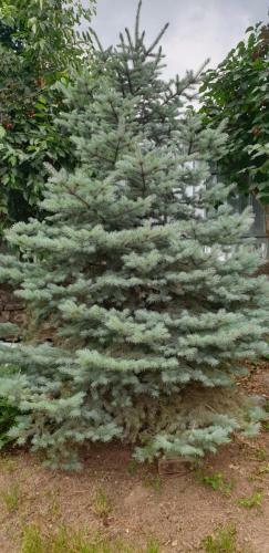 Agropensiunea Drumul Vinului